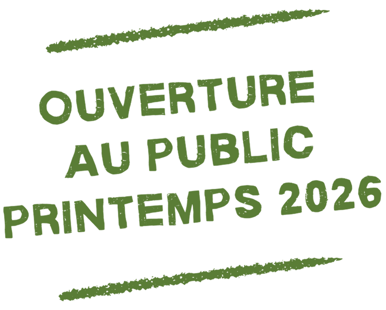 ouverture-public